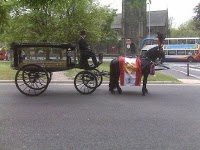 Horse drawn Carriage Hire   Disley 280895 Image 7